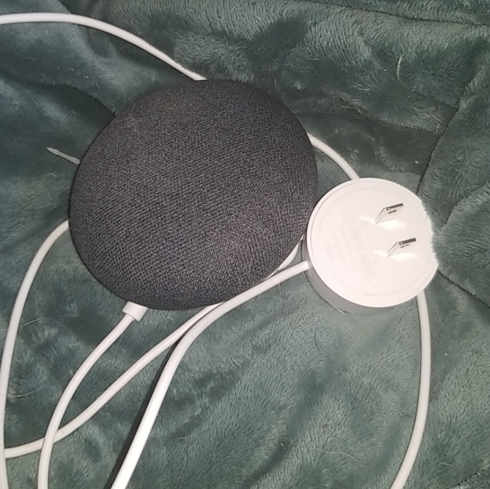 Google home mini